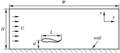 Figure 1. Schematics of the computational model.