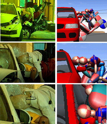Figure 1. Comparison of kinematics of the rider and the child passenger during a crash.