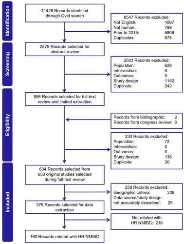 Figure 1 PRISMA flow diagram of the real-world SLR in NMIBC.