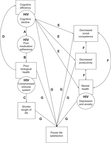 Figure 2 Example of the interaction of the factors of successful aging with HIV.