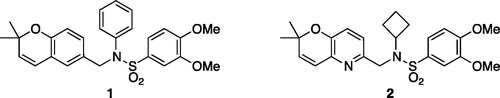 Figure 1. Lead compounds 1 (KCN1) and 2 (64b).