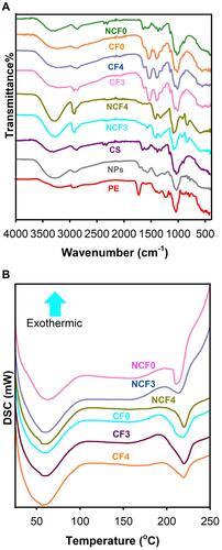 Figure 8 FTIR spectra (A) and DSC thermograms (B) of the different nanofibrous mats formulations under study.