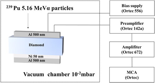 Figure 1. Schematic diagram of structure and test system of diamond detector.