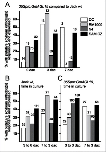 Figure 1. Transcript accumulation patterns for putative soybean orthologs of genes in Arabidopsis data sets corresponding to root and SAM transcriptomes. Data shown are percentage of the total responsive soybean orthologs that are expressed in response to 35Spro:GmAGL15 at 0, 3, and 7 dac (A) or to time in SE induction culture (B) for Jack wt and (C) for 35Spro:GmAGL15). The numbers above the bars indicates the total number of Arabidopsis genes with at least one putative soybean ortholog responsive to 35Spro:GmAGL15 or time in culture.