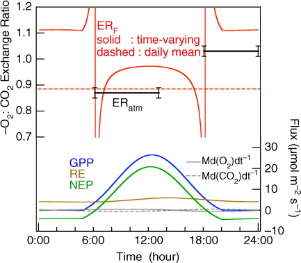 Fig. 8 Calculated average ERF values (red lines) and average observed ERatm values (black solid lines) for the time intervals of 6:00–13:00 and 18:00–24:00 at 8.8 m height for the period 4 August–4 September 2012. Average diurnal variations of GPP, RE, NEP (blue, brown, green solid lines), Md(O2)dt −1 and Md(CO2)dt −1 (grey solid and dashed lines) are also shown in lower part of the figure. The time-varying ERF values (red solid line) are calculated using eqs. (3) and (4) and the average diurnal variations of GPP, RE, Md(O2)dt −1 and Md(CO2)dt −1. The daily mean ERF value (red dashed line) is the ratio of the daily-integrated net turbulent O2 and CO2 fluxes calculated from eqs. (3) and (4) (see text).