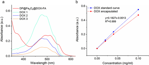 Figure 3 Measurement of Drug loading capacity and Encapsulation efficiency of DP@Fe3O4@DOX-FA. (a) UV absorbance values of three DOX standard solutions and DP@Fe3O4@DOX-FA. (b) UV absorption curves of different concentrations of DOX added to the nanomicelles and DOX encapsulated in the nanomicelles. Graphing was undertaken in OriginPro 2019b.