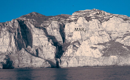 Figure 3. Unconformity surface among the Monte Falcone Formation (MFA3) and Marettimo Formation (MARd). Punta Bombarda, western coast of the island.