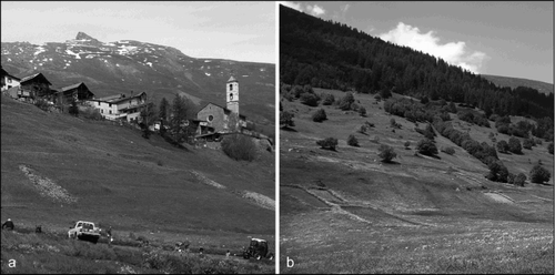 Fig. 5. Neoruralist and abandoned areas: a) some new fields cultivated by neoruralists on formerly abandoned terraces in St. Véran (Hautes-Alpes, France), 2040 m a.s.l.; b) some of the very few remaining fields in Obergesteln (Valais, Switzerland), 1355 m a.s.l. (Photos: Oliver Bender, 2008)