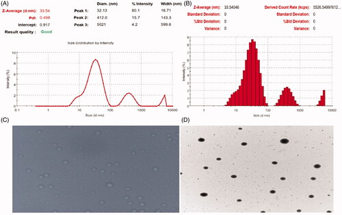 Figure 2. Characterization of optimized microemulsion (K7): (A, B) particle size distribution curve, (C) photo microscopy, and (D) transmission electron microscopy (TEM) analysis.