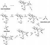 Figure 6 Hypothetical scheme of reaction mechanism devised by xanthine dehydrogenase in oxidizing trans-retinol to trans-retinoic acid. A catalytically labile Mo-OH group of the oxidized (MoVI) enzyme (a) initiates catalysis by nucleophililic attack on the carbon center of t-retinol or t-retinaldehyde to be hydroxylated, with concomitant hydride transfer (b and b’). This yields a reduced Mo(IV)-SH that derives from the Mo(VI) = S of the oxidized enzyme (c and e), with the product remaining coordinated to the molybdenum via the introduced hydroxyl group. In the case of t-retinol, after one-electron oxidation a new intermediate (d), so-called (46) “very rapid” Mo(V) species, is formed, and after rearrangement of the intermediate at C-15 a new hydride transfer is necessary (d). This yields a new reduced Mo(IV)-SH (e) that derived from the Mo(V) = S of the enzyme (d). The Mo(IV) intermediate (f) breaks down by direct hydroxide displacement of the product in presence of water.