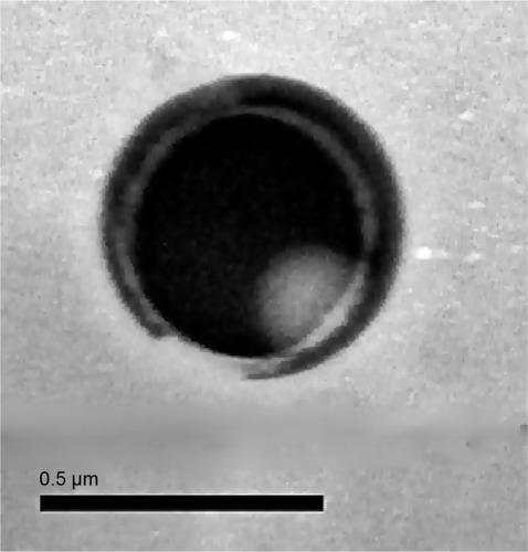 Figure 2 Transmission electron micrograph of Hst-loaded LNC.Abbreviations: Hst, hesperetin; LNC, lipid-core nanocapsule.