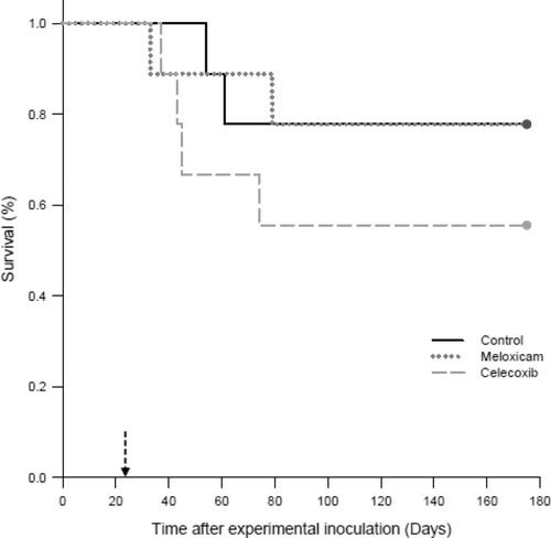 Figure 1 Survival analysis of cockatiels (Nymphicus hollandicus) inoculated with PaBV-2 and treated with either placebo, meloxicam (1.0 mg/kg), or celecoxib (10.0 mg/kg).Notes: The Gehan–Breslow statistic for survival curve was used to generate the survival analysis. Birds were experimentally inoculated with PaBV-2 on day 0. On day 23 post-inoculation (dashed arrow), birds started once daily, oral administration with the following: placebo control group (solid black line), meloxicam (dotted grey line) and celecoxib (dashed grey line).