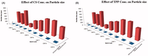 Figure 2. Effect of (A) CS concentration on particle size and (B) TPP concentration on particle size.