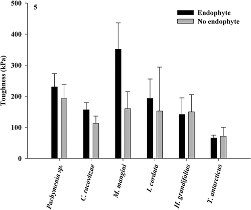 Fig. 5. Force required to tear thallus material with and without endophyte presence in six species of Antarctic macroalgae (paired t-test, means ± SE). Significant differences are noted by an asterisk.