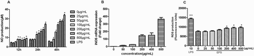 Figure 3. Effects of the EPS on NO production (a), iNOS mRNA expression (b) and ROS production (c) of RAW 264.7 cells. Cells were pretreated with EPS (0, 25, 50, 100, 200, 400 and 800 μg/mL) or LPS (10 μg/mL) for 12, 24 and 48 h, respectively and the NO production (a) was determined using Griess reagent. Cells were pretreated with EPS (0, 50, 100, 200, 400 and 800 μg/mL) or LPS (10 μg/mL) for 24 h and iNOS mRNA expression (D) was determined using qRT-PCR (b). Cells were pretreated with EPS (0, 25, 50, 100, 200, 400 and 800 μg/mL) or LPS (10 μg/mL) for 24 h and ROS production was determined by measuring fluorescence intensities. Values are mean ± SEM of three independent experiments. *p < .05, **p < .01 compared with the untreated group (0 μg/mL).