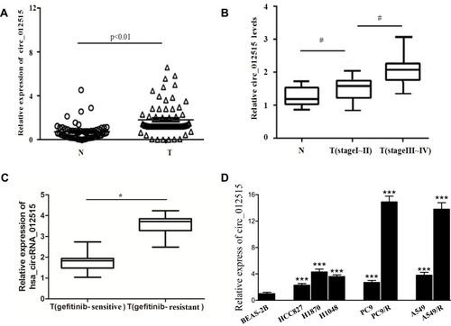 Figure 3 RT-PCR verification of hsa_circRNA_012515 expressions in clinical tissue samples and cell lines. (A) Shows the expressions of hsa_circRNA_012515 in cancerous tissues and paracancerous tissues from NSCLC patients (N indicates paracancerous tissues; T indicates cancerous tissues, n=83); (B) Shows the expression of hsa_circRNA_012515 in patients of different tumor stages (N indicates paracancerous tissues, n=83; T(stage I–II), n=43; T(stage III–IV), n=40); (C) Shows the expressions of hsa_circRNA_012515 in Peripheral blood samples from gefitinib-resistant (n=35) and gefitinib-sensitive (n=25) NSCLC patients. (D) Shows the expressions of hsa_circRNA_012515 in the pulmonary epithelial cells, NSCLC cells and gefitinib-resistant NSCLC cell lines. All experiments were performed in triplicate. Data were expressed as mean±standard deviation. #Indicates significant difference as compared with the N group, *Indicates significant difference as compared with the T(gefitinib-sensitive) group, ***Indicates significant difference as compared with the BEAS-2B cell (P<0.05).