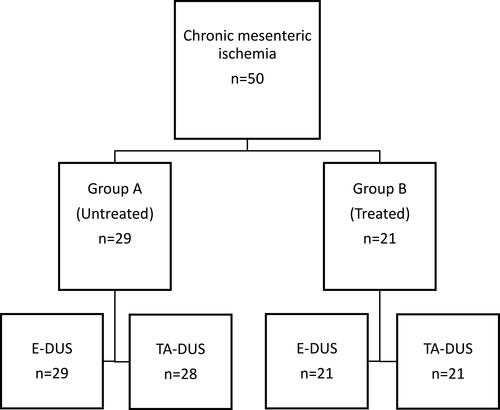 Figure 1 Patient flow in 50 patients with chronic mesenteric ischemia (CMI) investigated with transabdominal duplex ultrasound (TA-DUS), endoscopic duplex ultrasound (E-DUS) and computed tomography angiography (CTA).