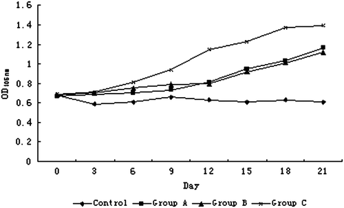 Figure 5. Detection of ALP concentration in inducer medium. The ALP concentration assay of medium showed that ALP concentration increased with induced time extension. Group C are significantly different (P < 0.05) than other group.