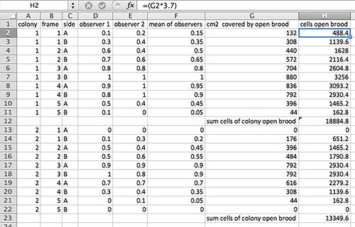 Figure 10. Example of a datasheet for converting raw observer data into number of open honey bee (Apis mellifera) brood cells.
