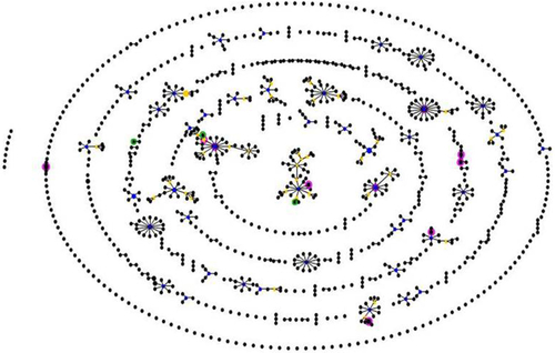 Figure S1 eBURST analysis for defining groups.Notes: Analysis of NTHi isolates allelic profile to a list of all NTHi isolates profile in the database using eBURST. STs differing from another ST by only one of the seven loci are connected by lines and form a group. Pink spots represent the known 11 STs. Green spots represent the new STs found in our study. Blue spots represent the founding ST for each cluster. Yellow spots represent the subgroup founder for each cluster.Abbreviation: ST, sequence type.