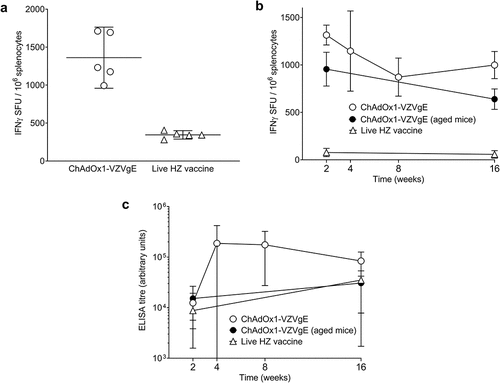 Figure 1. Cellular (a, b) and humoral (c) immunogenicity of a single dose of ChAdOx1-VZVgE in BALB/c mice.