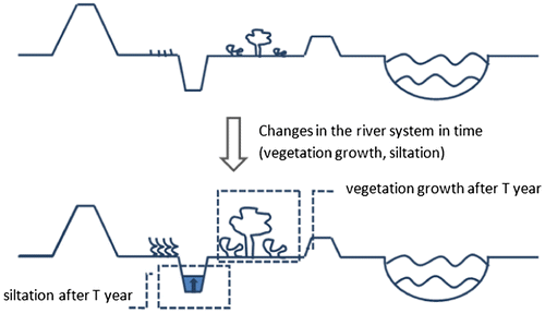 Figure 11. Changes in the river system in time due to vegetation growth and siltation of side channels.