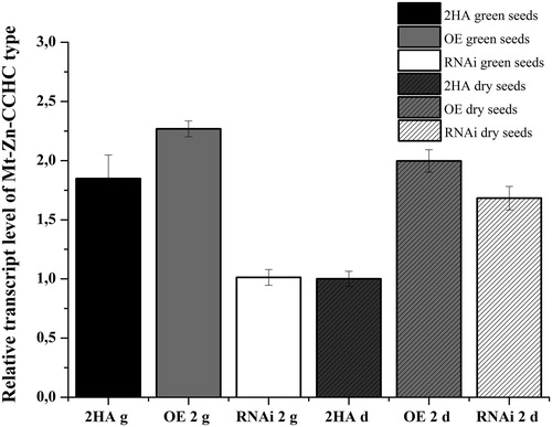 Figure 8. Relative expression level of Mt-Zn-CCHC gene in green and dry T1 seeds collected from T0 M. truncatula lines with modified expression and control.