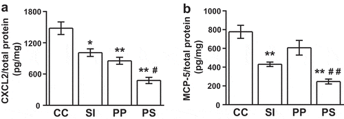 Figure 3. Dietary pomegranate polyphenol (PP) and soy isoflavone (SI) suppress CXCL2 and MCP-5 production in contact hypersensitivity (CHS) mice. (a) CXCL2, (b) MCP-5. CC, CHS control group; SI, SI-treated group; PP, PP-treated group; PS, PP and SI-treated group. The data represent the results of two independent experiments (n = 6 mice per group) and are presented as means ± SEM; *p < 0.05, **p < 0.01 vs. CC, #p < 0.05 PS vs. SI, ##p < 0.01 PS vs. PP.
