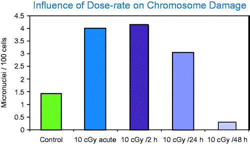 Figure 7. Micronuclei frequency measured as a function of exposure time. Of special note is that the frequency of micronuclei in these cultured cells was lower in the cells exposed to 10 cGy over 48 h than observed in the controls. Such data suggest induction of a protective response that may require a negative term in modeling risk.