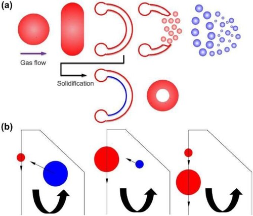 Figure 4. Schematic showing the formation mechanisms of (a) internal pores and (b) three different kinds of satellites during the process of gas atomization. Reprinted with permission from [Citation71,Citation72].