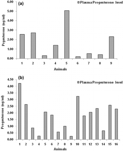 Figure 4. (a) Peripheral blood plasma progesterone concentrations in without cooling group of Murrah buffalo heifers (n = 9) after 21 days of AI. (b) Peripheral blood plasma progesterone concentrations in short-term cooled group of Murrah buffalo heifers (n = 16) after 21 days of AI.