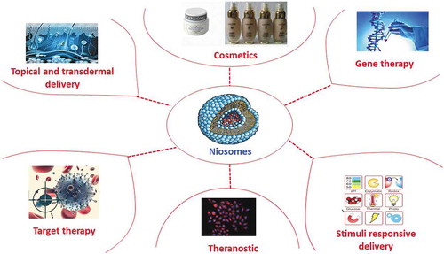 Figure 1. Main used applications of niosomes.