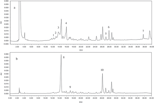 FIGURE 2 Chromatograms of Hongxun 1 at A: 280 nm and B: 320 nm. Peaks: (1) protocatechic acid, (2) catechin, (3) anthocyaninB2, (4) epicatechin, (5) phlorizin, (6) ellagic acid, (7) quercitin, (8) chlorogenic acid, (9) caffeic acid, (10) hyperoside.