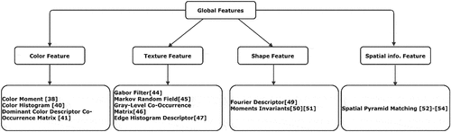 Figure 2. Classification of global features