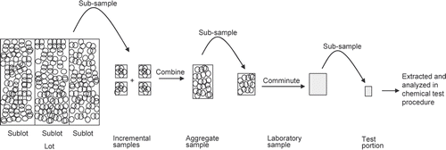 Figure 1. Flow diagram of the various steps in the sampling and analysis process for cereal grains.