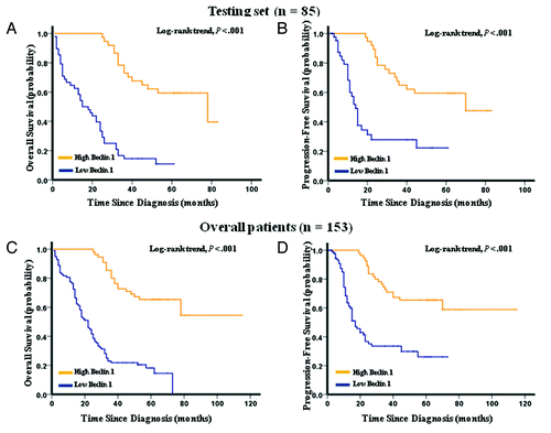 Figure 3. Kaplan-Meier survival analysis of Beclin 1 expression in the testing set and overall patients. (A) Low expression of Beclin 1 was closely correlated with poor overall survival, (B) and progression-free survival in the testing set. (C) Patients with low Beclin 1 expression also acquired an inferior overall survival, (D) and progression-free survival in overall patients. In the testing set and overall patients, the median duration of overall survival for patients with high and low expression of Beclin 1 was 78.0 vs. 15.0 mo (p < 0.001) and 82.0 vs. 22.0 mo (p < 0.001), respectively.