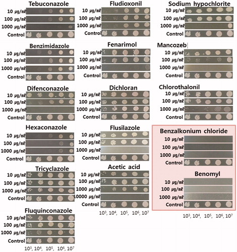 Figure 7. The effect of sixteen kinds of fungicides at three different concentrations on the cell growth of Cryptococcus pseudolongus DUCC 4014 on YMA. The tested C. pseudolongus cell concentration was adjusted from 1 × 103 cells/ml to 1 × 107 cells/ml, respectively.