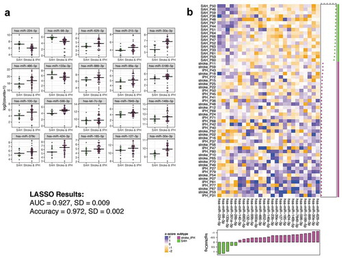 Figure 3. Ex-miRNAs can accurately distinguish SAH from other stroke subgroups. (a) The top 20 miRNAs by lowest p-value are shown in the dot-plots. Dots represent mean counts for the given miRNA per patient across the stroke subgroups. Statistical significance was determined by DESeq 2 with Benjamini–Hochberg method employed to adjust for multiple comparisons. (b) The heatmap depicts the ex-miRNAs selected by LASSO analysis with best discriminatory power. The graph below the heatmap displays the direction of regulation of the miRNA selected by LASSO.