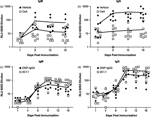 Figure 8. Effects of CsA or 2C1.1 on SRBC-specific IgM and IgG. Cynomolgus monkeys (n = 8/group) were dosed with 50 mg/kg BID CsA or vehicle from Day −7 to +16 and 25 mg/kg 2C1.1 or DNP-IgG2 on Day 0. SRBC was administered on Day 1. Blood was collected post-dose (Days 1, 9, 12, and 16), and serum isolated. SRBC-specific IgM and IgG levels were determined by ELISA, and reported as relative light units (RLU). Data was log-transformed, and a one-way ANOVA was used to compare groups at individual timepoints. CsA treatment resulted in a significant reduction of SRBC specific (a) IgM and (b) IgG on Days 9, 12, and 16 (p ≤ 0.0135). SRBC-specific IgM was reduced by 76–80% relative to vehicle control on Days 9–16. SRBC-specific IgG was reduced by 95–96% relative to vehicle control on Days 9–16. Although animals treated with 2C1.1 trended higher in their SRBC-specific (c) IgM and (d) IgG responses on Days 9, 12, and 16, they did not reach statistical significance. Error bars display the standard error of the mean.