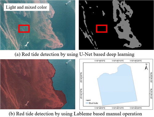 Figure 5. The comparison of the automatic and manual labels of red tide.