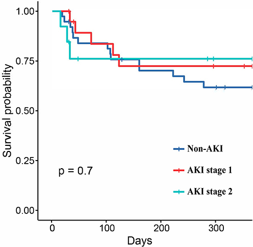 Figure 4 Cumulative survival rate for patients without AKI, AKI stage 1 and AKI stage 2.