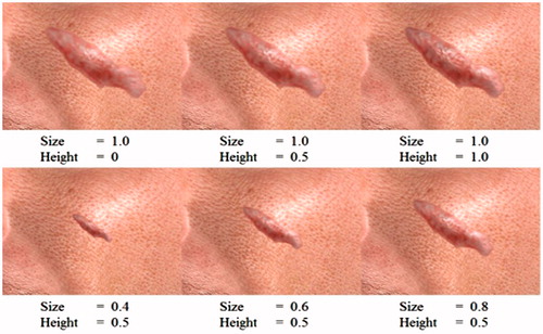 Figure 5. Result of different size and height parameters with the scar generation algorithm.