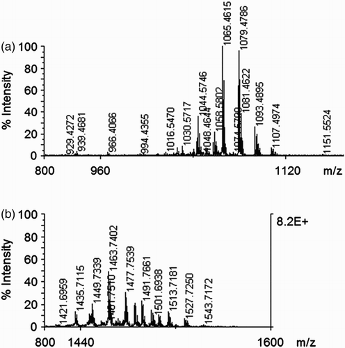 Figure 1. MALDI-TOF mass spectrometric of lipopeptide from Blu-v2. (a) Groups of peaks at m/z values between 1000 and 1150 attributed to the isoform ensembles of surfactins and iturins and (b) Groups of peaks at m/z values between 1420 and 1550 attributed to the isoform ensembles of fengycins.