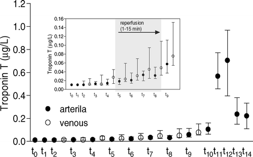 Figure 4.  Changes in plasma troponin T. Blood samples were taken at various stages from a radial artery (closed symbols, t0-t14) and from the coronary sinus (open symbols, t2-t9). Median values with percentiles (25th and 75th) are shown. The results are correlated with albumin concentration.