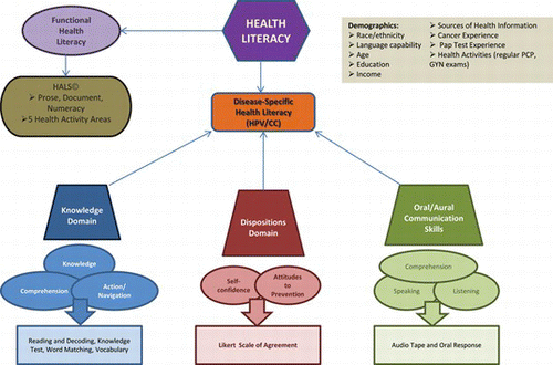 Figure 1 Nomological chart indicating constructs, categories, and their relationships in TALKDOC health literacy domains. (Color figure available online.).