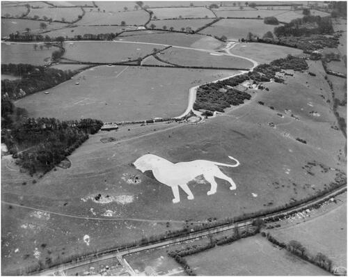 Figure 2 The Whipsnade Lion chalk hill figure, Whipsnade. Photograph 1938, © Historic Environment Scotland. Holly Frindle appears as a white spot in the top-right corner of the picture, right next to the Zoo enclosure delimited by masses of trees over the lion. Hillfield does not appear in the image; it would be located further down the hill on the right-hand side of Holly Frindle.