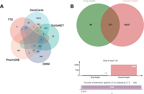 Figure 2 Screening of GC related genes which were probably targeted by Radix Bupleuri. (A) Gene targets related to GC in different databases. (B) Venn diagram of the target genes of Radix Bupleuri and GC related genes.