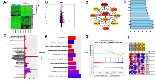 Figure 2 The results of bioinformatics analysis. (A) The top 50 DEGs identified by R software. The highly expressed genes in NP group were represented by the red areas and lowly expressed were represented by the green areas. (B) Volcano plot. Red dots represent the up-regulated genes and blue dots represent the down-regulated genes. (C) The top 10 key genes of DEGs identified by cytohubba. (D) The degree of the top 10 key genes was listed by R software. (E) GO functional enrichment result of DEGs. (F) KEGG functional enrichment result of DEGs. (G) EGF was highly enriched in “WNT-activated receptor activity” (ES=0.57, NES =1.65, p<0.05) according to GSEA. (H) The heatmap of GSEA showed genes distribution of “WNT-activated receptor activity”.