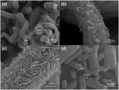 Figure 4. FE-SEM images of CuS nanostructures synthesised at 150°C for a reaction time of 24 h at different magnifications.