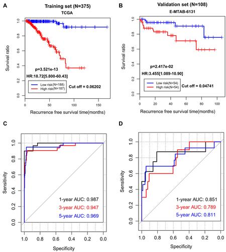 Figure 3 The prediction performance of our 14-DMRs-based risk score system for recurrence-free survival. (A) Kaplan-Meier survival curve analysis of the TCGA dataset; (B) Kaplan-Meier survival curve analysis of the EMBL-EBI dataset; (C) receiver operator characteristic (ROC) curve analysis of the TCGA dataset; (D) receiver operator characteristic curve analysis of the EMBL-EBI dataset.